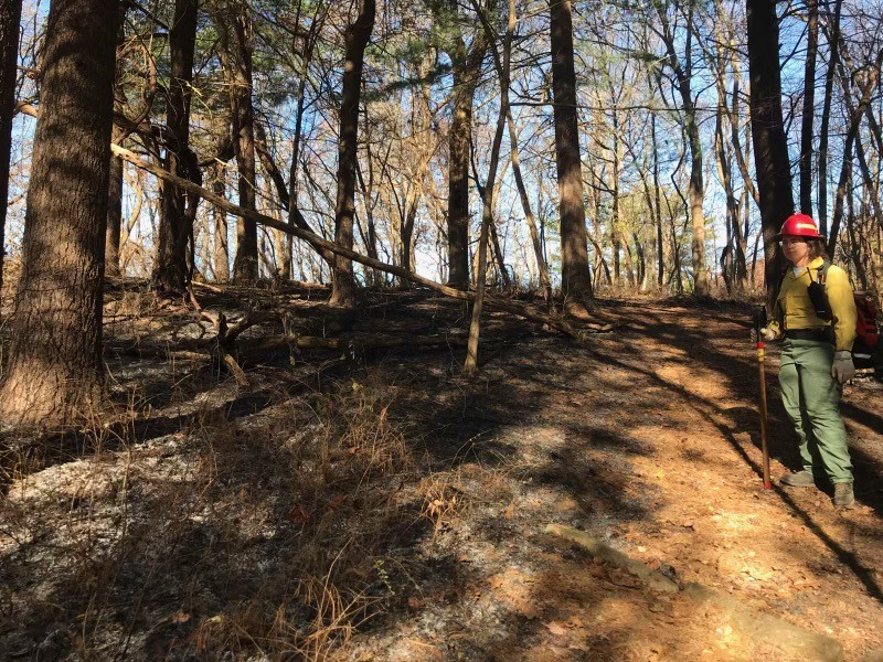 Shenandoah Park fire 11-9-20